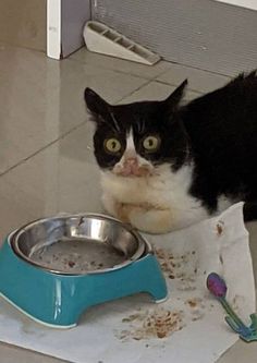 Innehåller en bild av: 